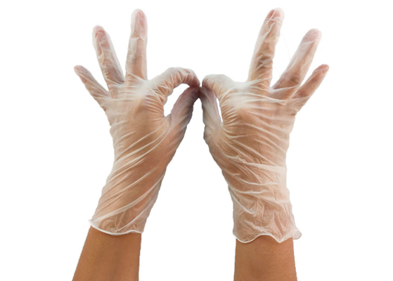 240mm Disposable Hand PVC Gloves Vinyl For Working &amp; Safety