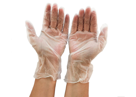 240mm Disposable Hand PVC Gloves Vinyl For Working &amp; Safety